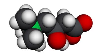 L-carnitine