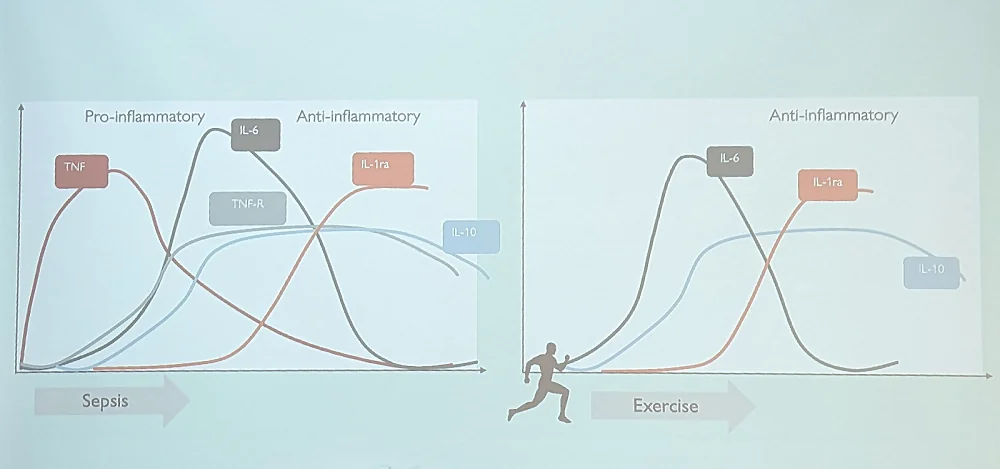 ARDD Exercise Inflammation