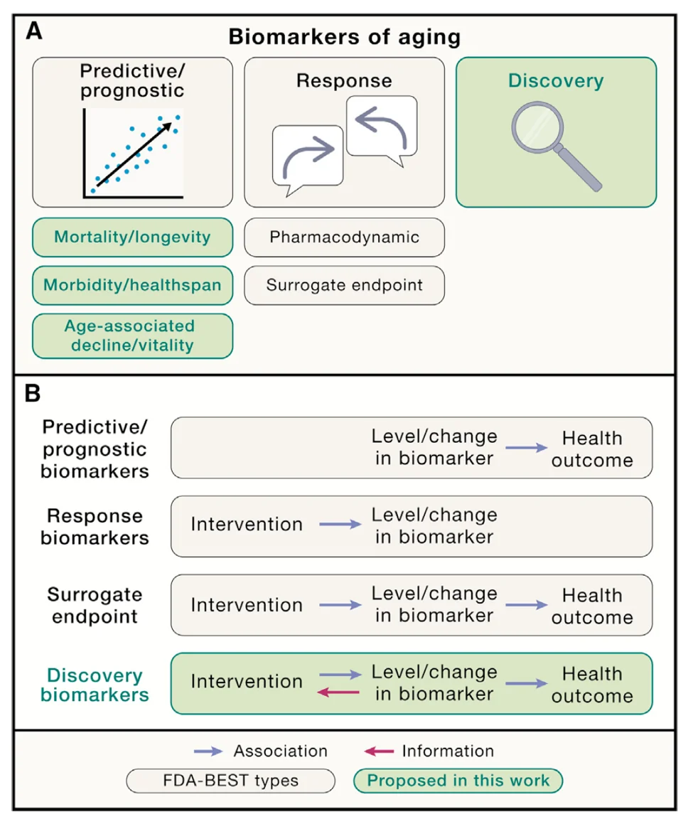 Biomarkers of Aging Concepts
