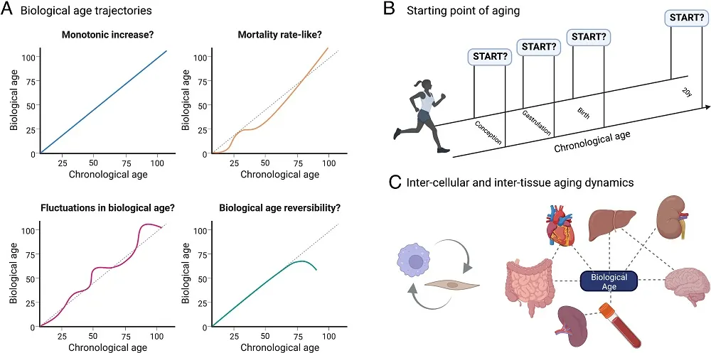 Questions of aging