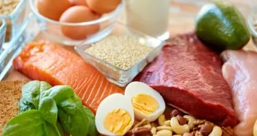 High-Protein Diets Have Few Benefits in Mice