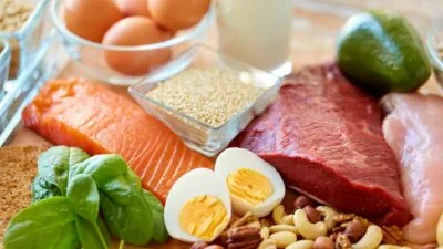 High protein diet