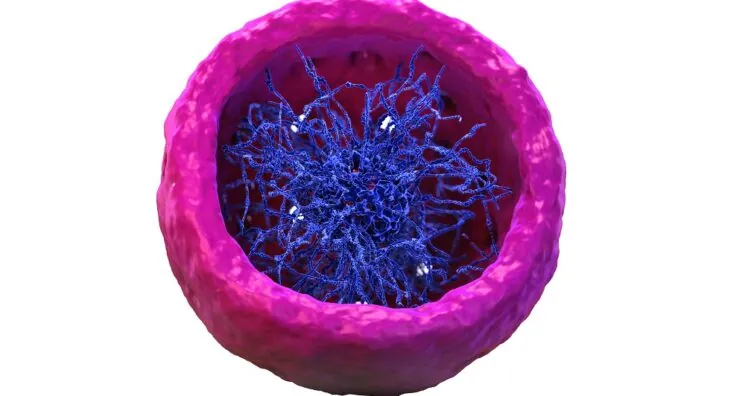 Pushing Forward on Understanding Cellular Decline