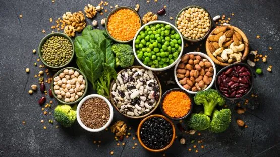 Plant Protein Associated with Better Health | Lifespan.io
