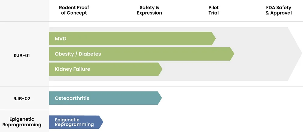 Dog Osteoarthritis Pipeline