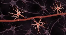 Epigenetic Memory Might Underlie Multiple Sclerosis