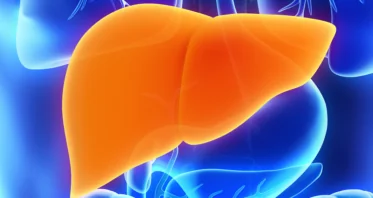 A Small Molecule to Restore the Liver