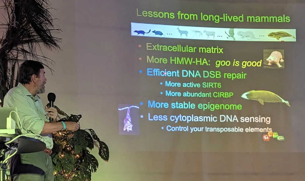Hard Biology and Soft Coconut Juice in Vitalia | Lifespan.io